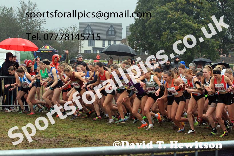 Senior Womens 2023 National Cross Country Relays, Berry Hill Park, Mansfield.  Photo: David T. Hewitson/Sports for All Pics